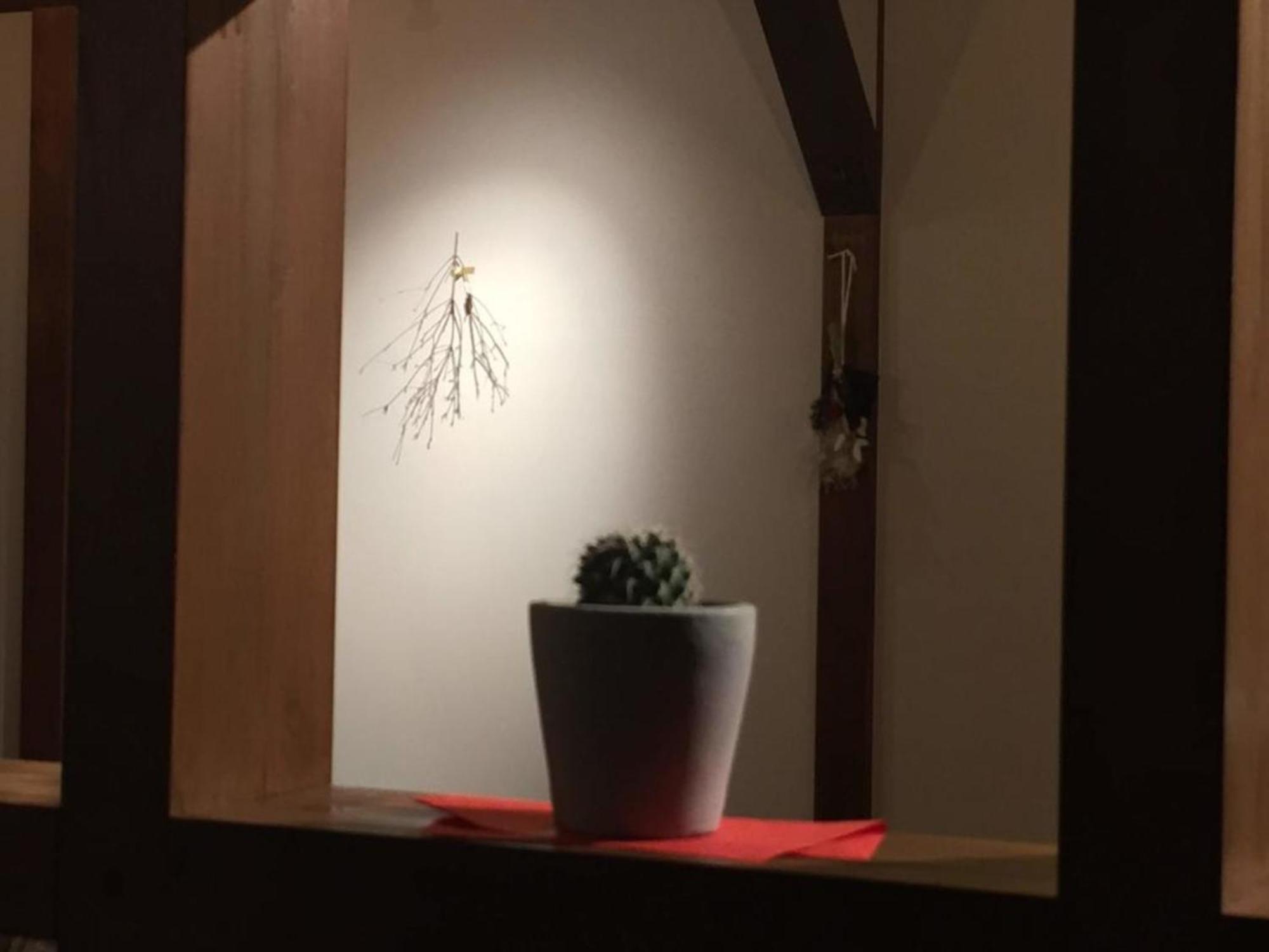 Kinosaki Knot Female Only Dormitory - Vacation Stay 25710V โทโยคะ ภายนอก รูปภาพ